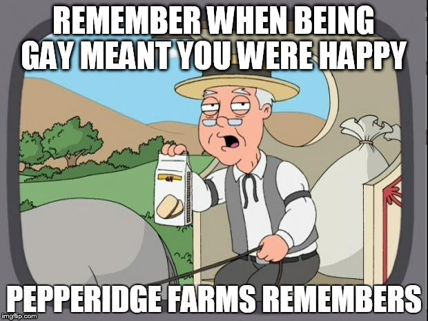 PEPPERIDGE FARMS REMEMBERS | REMEMBER WHEN BEING GAY MEANT YOU WERE HAPPY | image tagged in pepperidge farms remembers | made w/ Imgflip meme maker