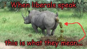 When liberals speak this is what they mean | When liberals speak; this is what they mean... | image tagged in pooping rhino,liberals | made w/ Imgflip meme maker