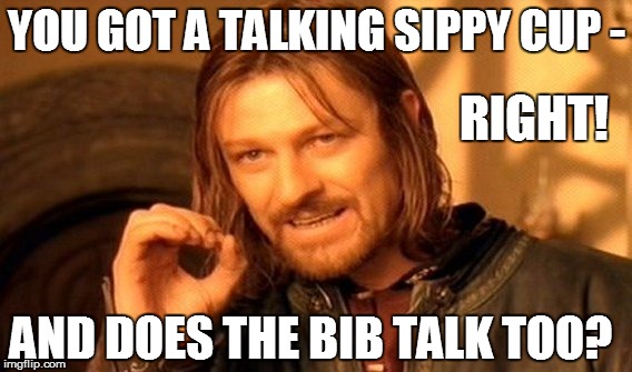 One Does Not Simply Meme | YOU GOT A TALKING SIPPY CUP - RIGHT! AND DOES THE BIB TALK TOO? | image tagged in memes,one does not simply | made w/ Imgflip meme maker