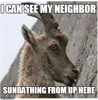 I CAN SEE MY NEIGHBOR SUNBATHING FROM UP HERE | made w/ Imgflip meme maker