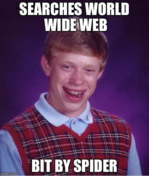 Bad Luck Brian Meme | SEARCHES WORLD WIDE WEB; BIT BY SPIDER | image tagged in memes,bad luck brian | made w/ Imgflip meme maker