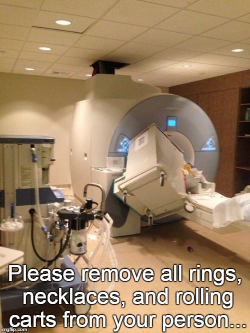 Please remove all rings, necklaces, and rolling carts from your person... | image tagged in catscan | made w/ Imgflip meme maker