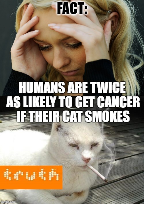 FACT:; HUMANS ARE TWICE AS LIKELY TO GET CANCER IF THEIR CAT SMOKES | image tagged in meme,funny meme,cat,funny cat memes,dank meme,funny cats | made w/ Imgflip meme maker