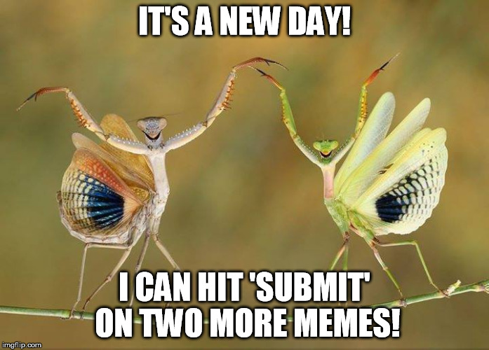An ImgFliper's Reason For Living | IT'S A NEW DAY! I CAN HIT 'SUBMIT' ON TWO MORE MEMES! | image tagged in dance dance dance,memes,submit | made w/ Imgflip meme maker