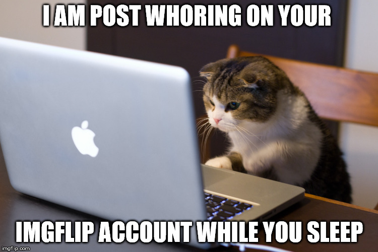 So that's why I got a lot of points  | I AM POST WHORING ON YOUR; IMGFLIP ACCOUNT WHILE YOU SLEEP | image tagged in cute cat,post,whore | made w/ Imgflip meme maker