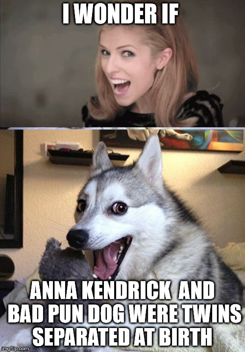 Long lost twins  | I WONDER IF; ANNA KENDRICK  AND BAD PUN DOG WERE TWINS SEPARATED AT BIRTH | image tagged in bad pun dog,bad pun anna kendrick,twins | made w/ Imgflip meme maker