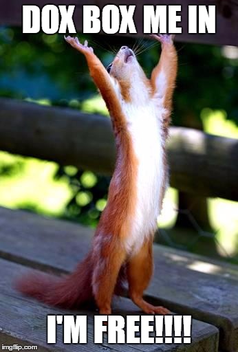 Squirrel, Hands Raised | DOX BOX ME IN; I'M FREE!!!! | image tagged in squirrel hands raised | made w/ Imgflip meme maker