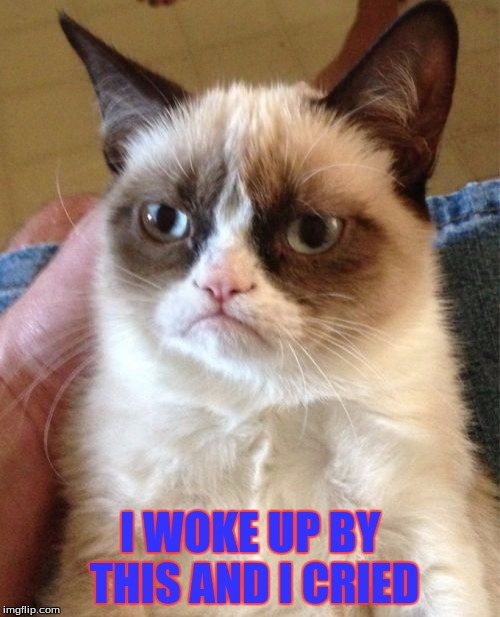 Grumpy Cat | I WOKE UP BY THIS AND I CRIED | image tagged in memes,grumpy cat | made w/ Imgflip meme maker