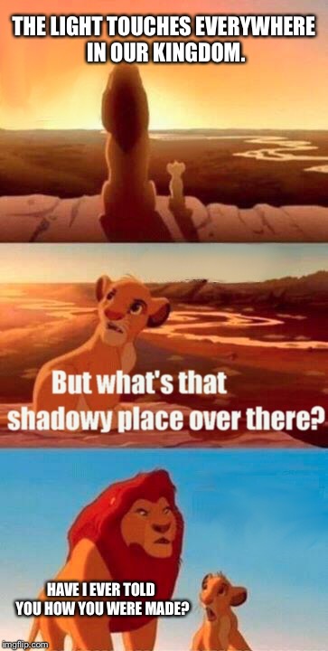 Simba Shadowy Place | THE LIGHT TOUCHES EVERYWHERE IN OUR KINGDOM. HAVE I EVER TOLD YOU HOW YOU WERE MADE? | image tagged in memes,simba shadowy place | made w/ Imgflip meme maker