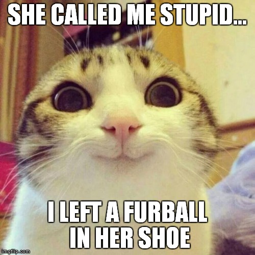 Smiling Cat | SHE CALLED ME STUPID... I LEFT A FURBALL IN HER SHOE | image tagged in memes,smiling cat | made w/ Imgflip meme maker