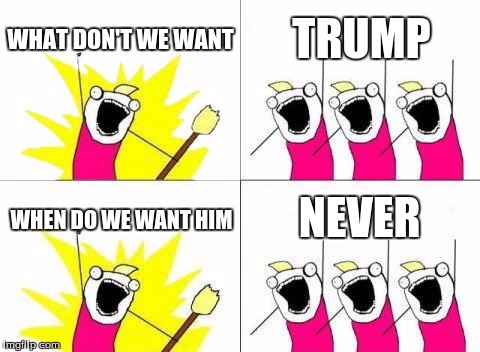 What Do We Want | WHAT DON'T WE WANT; TRUMP; NEVER; WHEN DO WE WANT HIM | image tagged in memes,what do we want | made w/ Imgflip meme maker