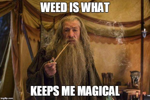 Smoke weed everyday | WEED IS WHAT; KEEPS ME MAGICAL | image tagged in smoke weed everyday | made w/ Imgflip meme maker