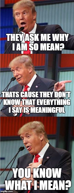 Bad Pun Trump | THEY ASK ME WHY I AM SO MEAN? THATS CAUSE THEY DON'T KNOW THAT EVERYTHING I SAY IS MEANINGFUL; YOU KNOW WHAT I MEAN? | image tagged in bad pun trump,memes,trump,mean,if you know what i mean bean,meaning | made w/ Imgflip meme maker