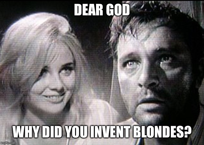 BLONDES:THE BEST & WORST OF HUMANITY | DEAR GOD; WHY DID YOU INVENT BLONDES? | image tagged in watch those blondes | made w/ Imgflip meme maker