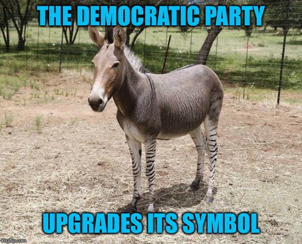 ZONKEY | THE DEMOCRATIC PARTY; UPGRADES ITS SYMBOL | image tagged in zebra donkey | made w/ Imgflip meme maker