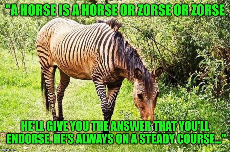 TALK TO MR ZEBRA HORSE | "A HORSE IS A HORSE OR ZORSE OR ZORSE; HE'LL GIVE YOU THE ANSWER THAT YOU'LL ENDORSE. HE'S ALWAYS ON A STEADY COURSE..." | image tagged in zebra horse | made w/ Imgflip meme maker