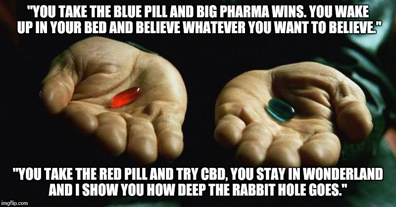 Big pharma vs Medical cannabis... | "YOU TAKE THE BLUE PILL AND BIG PHARMA WINS. YOU WAKE UP IN YOUR BED AND BELIEVE WHATEVER YOU WANT TO BELIEVE."; "YOU TAKE THE RED PILL AND TRY CBD, YOU STAY IN WONDERLAND AND I SHOW YOU HOW DEEP THE RABBIT HOLE GOES." | image tagged in real world,truth,matrix,medical | made w/ Imgflip meme maker