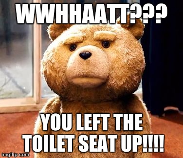 TED Meme | WWHHAATT??? YOU LEFT THE TOILET SEAT UP!!!! | image tagged in memes,ted | made w/ Imgflip meme maker
