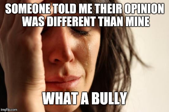 First World Problems Meme | SOMEONE TOLD ME THEIR OPINION WAS DIFFERENT THAN MINE WHAT A BULLY | image tagged in memes,first world problems | made w/ Imgflip meme maker