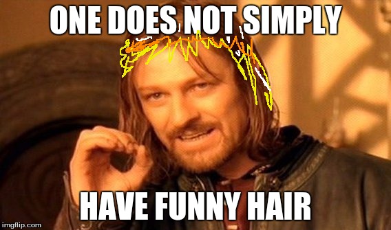 ONE DOES NOT SIMPLY HAVE FUNNY HAIR | image tagged in memes,one does not simply | made w/ Imgflip meme maker