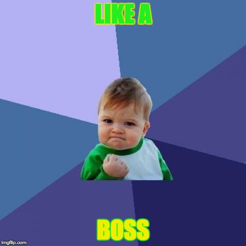Success Kid Meme | LIKE A; BOSS | image tagged in memes,success kid | made w/ Imgflip meme maker