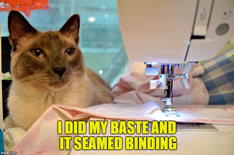 The cat was pleating with me so eyelet him toile around with the surplice fabric | I DID MY BASTE AND IT SEAMED BINDING | image tagged in memes,cats,just a tailor,bad puns | made w/ Imgflip meme maker