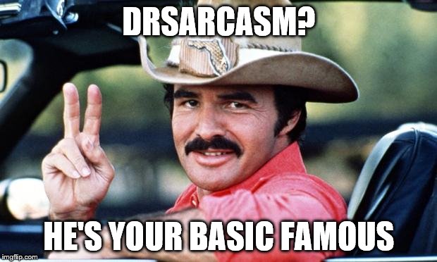 burt | DRSARCASM? HE'S YOUR BASIC FAMOUS | image tagged in burt | made w/ Imgflip meme maker