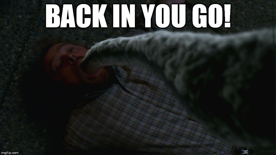 BACK IN YOU GO! | made w/ Imgflip meme maker