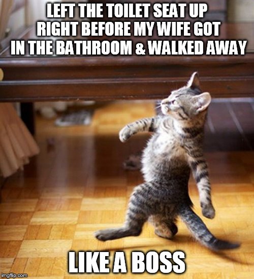 Cat Walking Like A Boss | LEFT THE TOILET SEAT UP RIGHT BEFORE MY WIFE GOT IN THE BATHROOM & WALKED AWAY; LIKE A BOSS | image tagged in cat walking like a boss | made w/ Imgflip meme maker