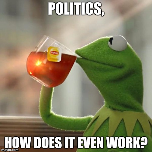 Politics | POLITICS, HOW DOES IT EVEN WORK? | image tagged in memes,but thats none of my business,kermit the frog | made w/ Imgflip meme maker