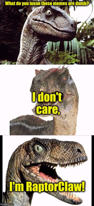 Why did i make this? | What do you mean these memes are dumb? I don't care, I'm RaptorClaw! | image tagged in raptorclaw,memes | made w/ Imgflip meme maker