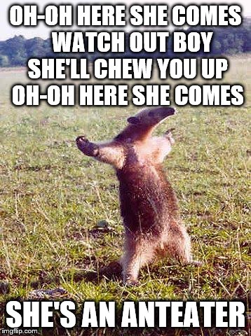 The original version... | OH-OH HERE SHE COMES   WATCH OUT BOY SHE'LL CHEW YOU UP OH-OH HERE SHE COMES; SHE'S AN ANTEATER | image tagged in come at me anteater,memes,music,hall and oates | made w/ Imgflip meme maker