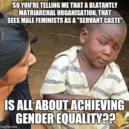 Third World Skeptical Kid Meme | 'SO YOU'RE TELLING ME THAT A BLATANTLY MATRIARCHAL ORGANISATION, THAT SEES MALE FEMINISTS AS A "SERVANT CASTE"; IS ALL ABOUT ACHIEVING GENDER EQUALITY?? | image tagged in memes,third world skeptical kid | made w/ Imgflip meme maker