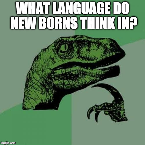 Philosoraptor | WHAT LANGUAGE DO NEW BORNS THINK IN? | image tagged in memes,philosoraptor | made w/ Imgflip meme maker