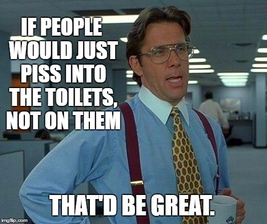 That Would Be Great | IF PEOPLE WOULD JUST PISS INTO THE TOILETS, NOT ON THEM; THAT'D BE GREAT. | image tagged in memes,that would be great | made w/ Imgflip meme maker