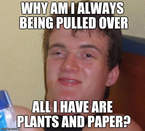 10 Guy Meme | WHY AM I ALWAYS BEING PULLED OVER; ALL I HAVE ARE PLANTS AND PAPER? | image tagged in memes,10 guy | made w/ Imgflip meme maker