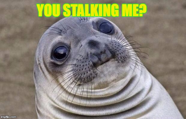 Awkward Moment Sealion Meme | YOU STALKING ME? | image tagged in memes,awkward moment sealion | made w/ Imgflip meme maker