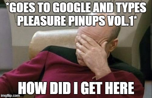 when i search pleasure pinups vol.1 | *GOES TO GOOGLE AND TYPES PLEASURE PINUPS VOL.1*; HOW DID I GET HERE | image tagged in memes,captain picard facepalm | made w/ Imgflip meme maker