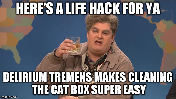 drunk uncle | HERE'S A LIFE HACK FOR YA; DELIRIUM TREMENS MAKES CLEANING THE CAT BOX SUPER EASY | image tagged in drunk uncle | made w/ Imgflip meme maker