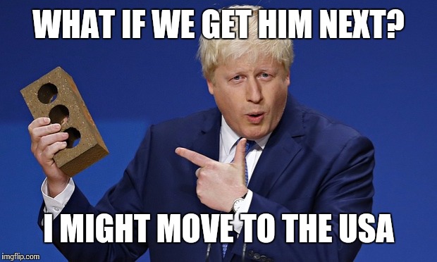 boris and his brick | WHAT IF WE GET HIM NEXT? I MIGHT MOVE TO THE USA | image tagged in boris and his brick | made w/ Imgflip meme maker