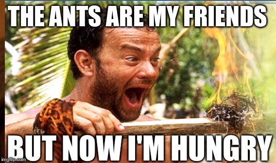 THE ANTS ARE MY FRIENDS BUT NOW I'M HUNGRY | made w/ Imgflip meme maker