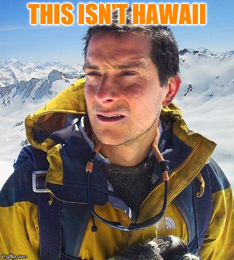 Bear Grylls | THIS ISN'T HAWAII | image tagged in memes,bear grylls | made w/ Imgflip meme maker