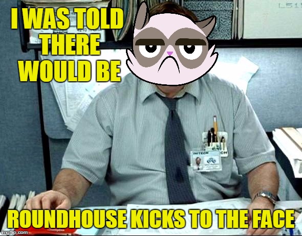 I WAS TOLD THERE WOULD BE ROUNDHOUSE KICKS TO THE FACE | made w/ Imgflip meme maker
