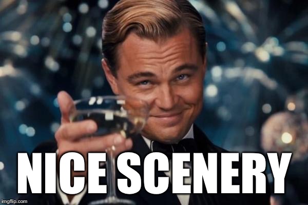 Leonardo Dicaprio Cheers Meme | NICE SCENERY | image tagged in memes,leonardo dicaprio cheers | made w/ Imgflip meme maker