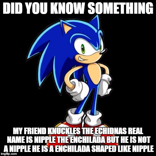 You're Too Slow Sonic | DID YOU KNOW SOMETHING; MY FRIEND KNUCKLES THE ECHIDNAS REAL NAME IS NIPPLE THE ENCHILADA BUT HE IS NOT A NIPPLE HE IS A ENCHILADA SHAPED LIKE NIPPLE | image tagged in memes,youre too slow sonic | made w/ Imgflip meme maker