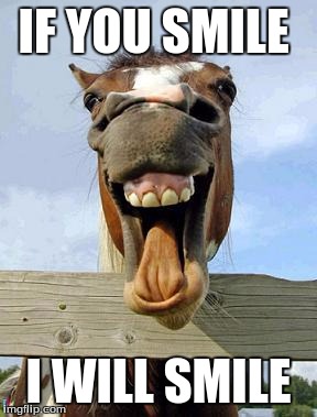 horsesmile | IF YOU SMILE; I WILL SMILE | image tagged in horsesmile | made w/ Imgflip meme maker