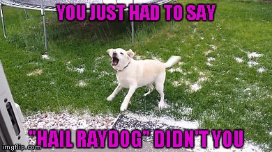 YOU JUST HAD TO SAY "HAIL RAYDOG" DIDN'T YOU | made w/ Imgflip meme maker