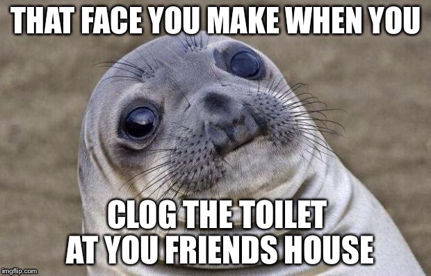 Awkward Moment Sealion | THAT FACE YOU MAKE WHEN YOU; CLOG THE TOILET AT YOU FRIENDS HOUSE | image tagged in memes,awkward moment sealion | made w/ Imgflip meme maker