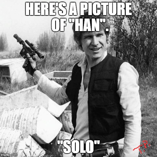 solo | HERE'S A PICTURE OF "HAN". "SOLO" | image tagged in star wars,funny,harrison ford | made w/ Imgflip meme maker