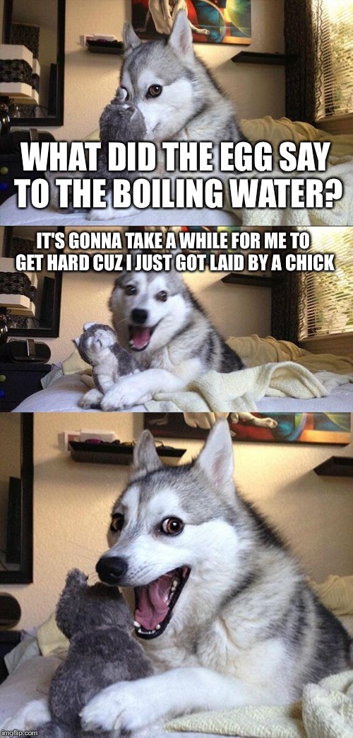 Like this if you get the joke | WHAT DID THE EGG SAY TO THE BOILING WATER? IT'S GONNA TAKE A WHILE FOR ME TO GET HARD CUZ I JUST GOT LAID BY A CHICK | image tagged in memes,bad pun dog | made w/ Imgflip meme maker